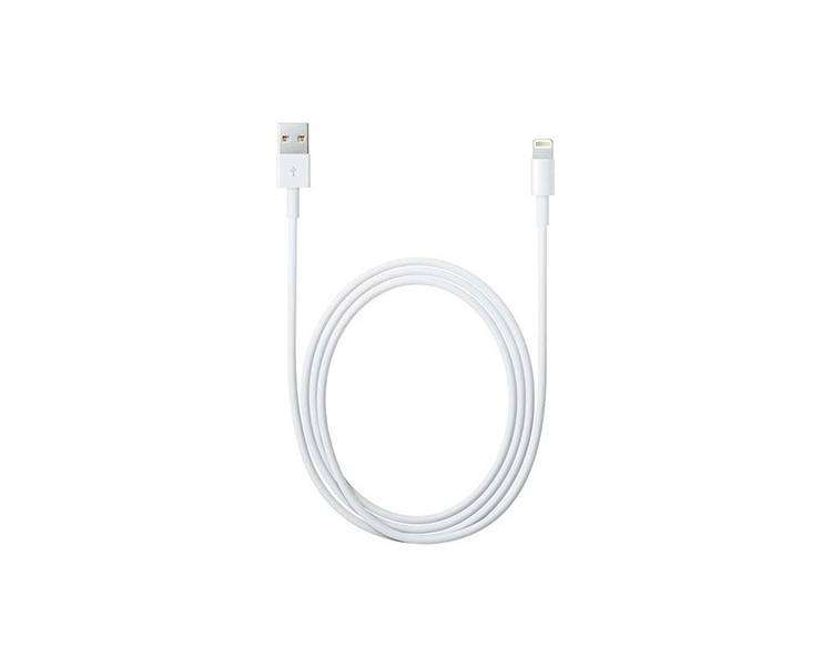 Cable Apple Lightning Macho a USB Macho 2M