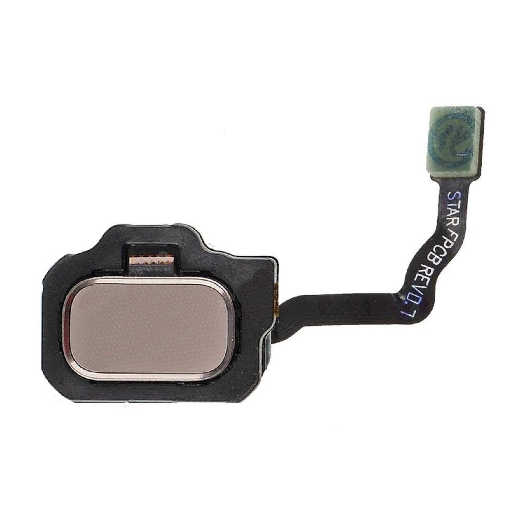 Sensor Huella Dactilar Para Samsung Galaxy S9 Dorado