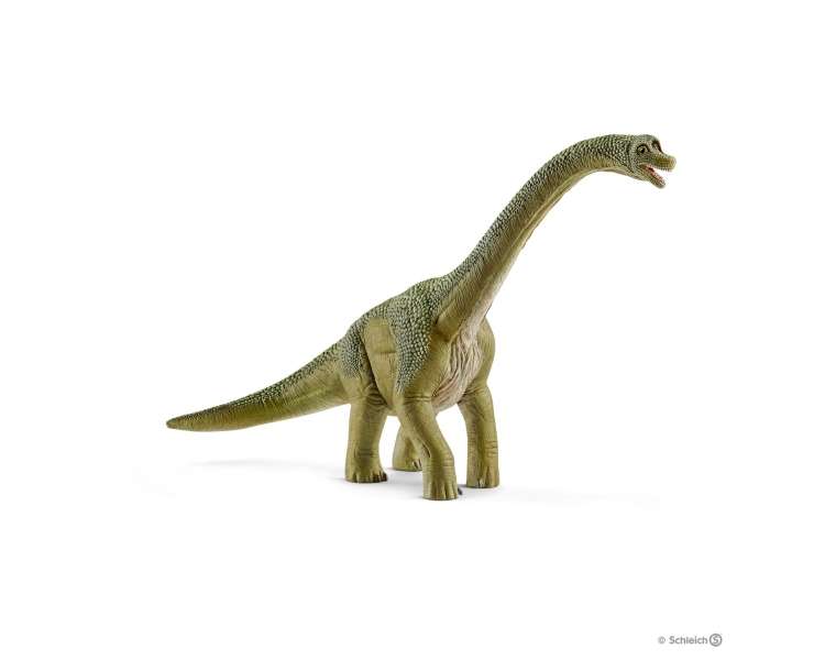 Schleich - Dinosaurs - Brachiosaurus (14581)