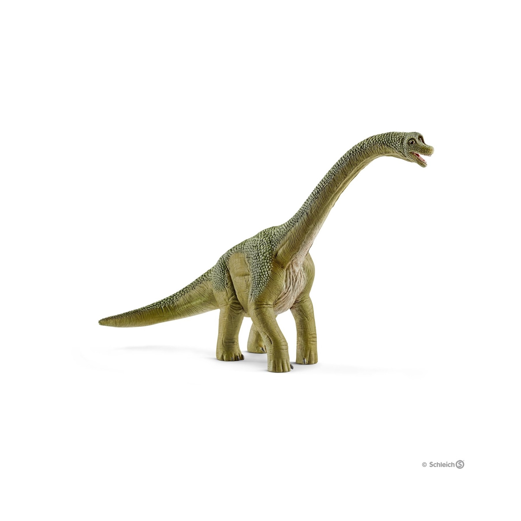 Schleich - Dinosaurs - Brachiosaurus (14581)