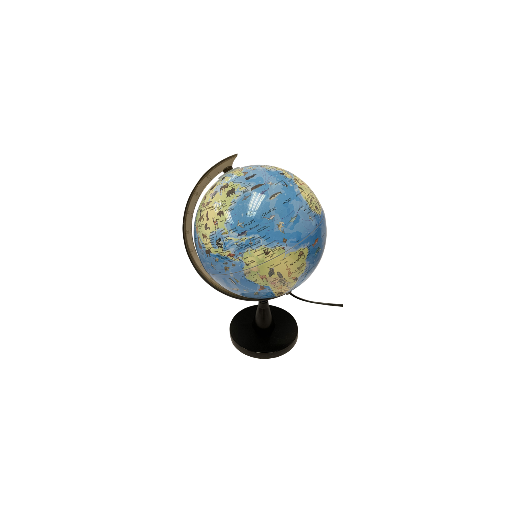 SCIENCE - Globe with animals and light 20 cm (TY6190)