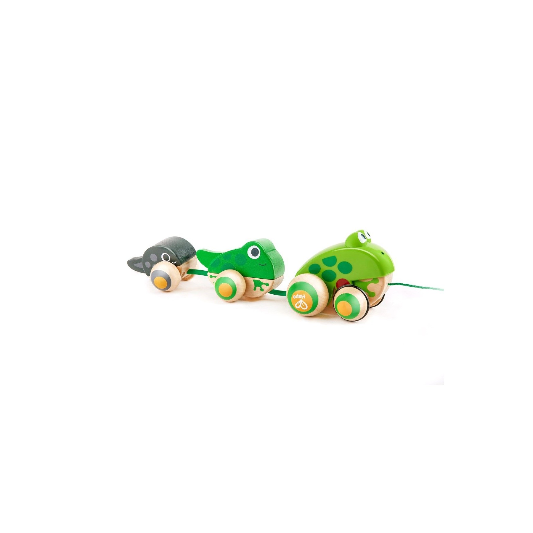 Hape - Familia de ranas para arrastrar (87-0365)
