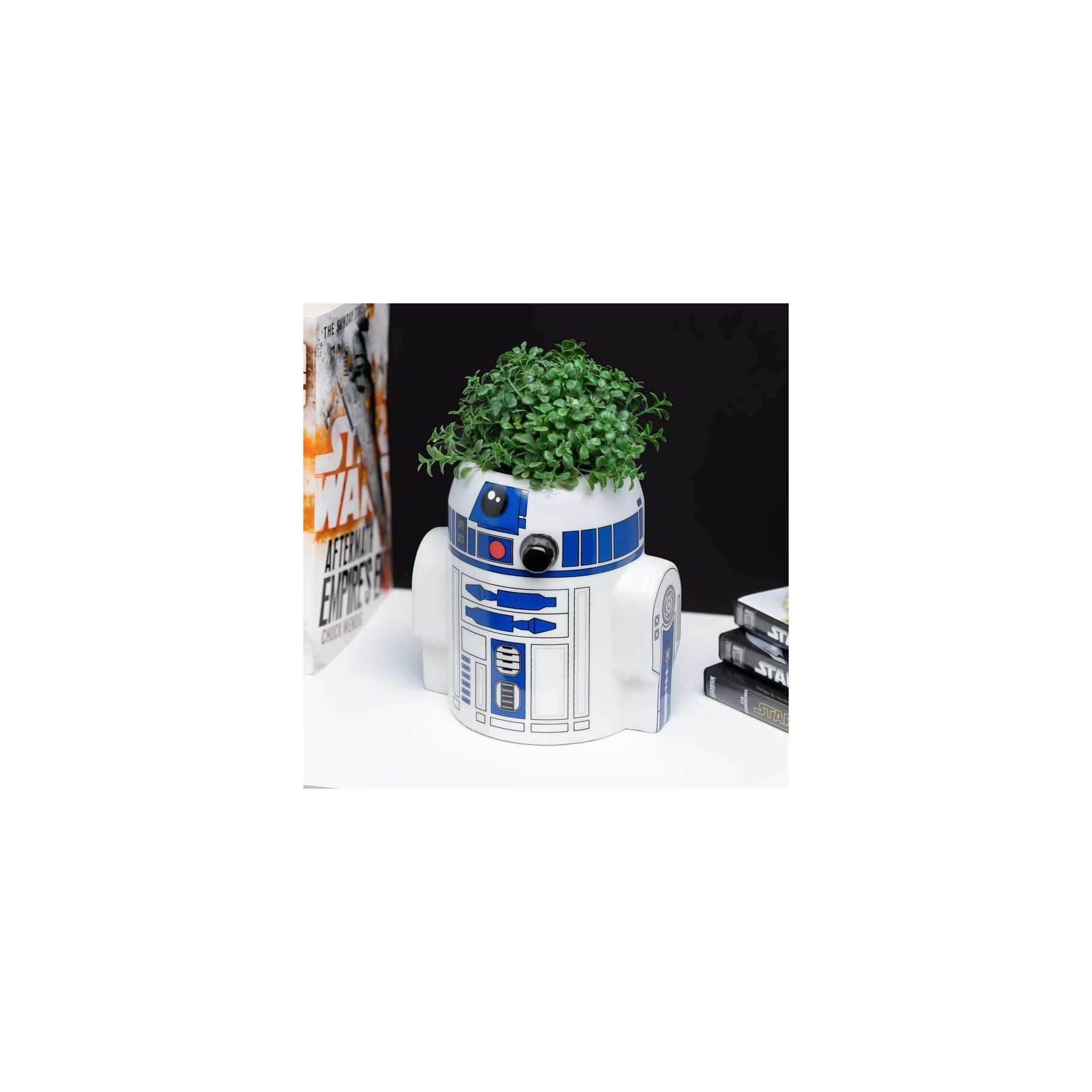 R2D2 Pen and Plant Pot