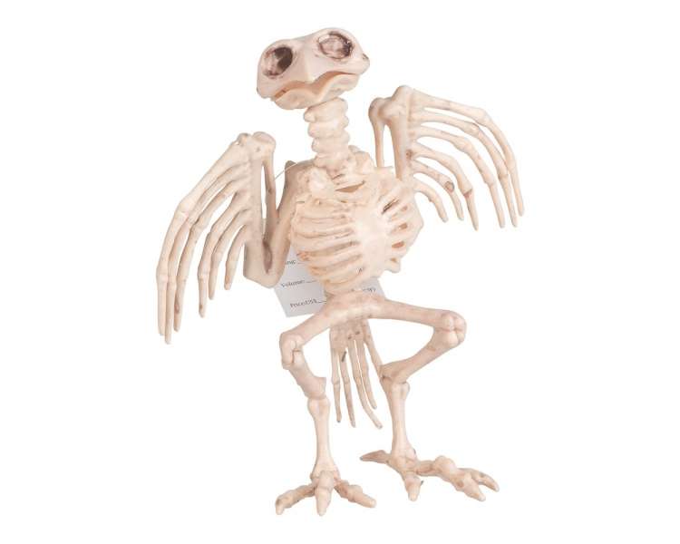 Joker - Halloween - Skeleton Bird (15 cm) (97060)