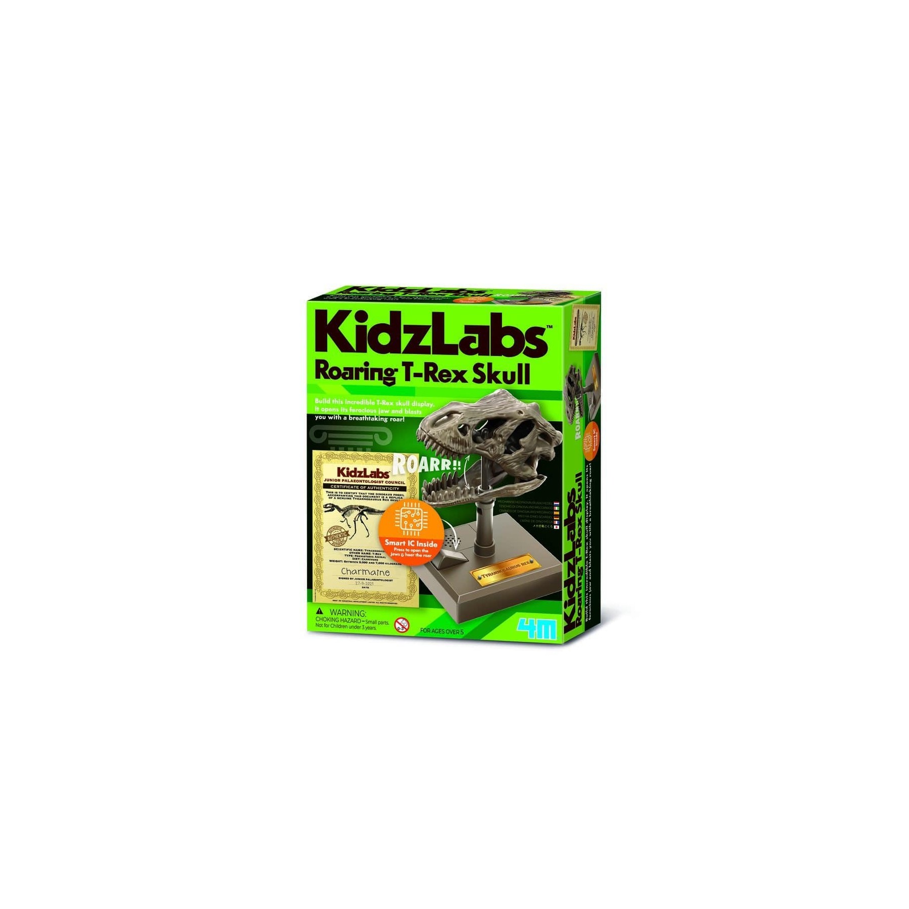 4M - KIDZROBOTIX / ROARING T-REX SKULL - (4M-03399)