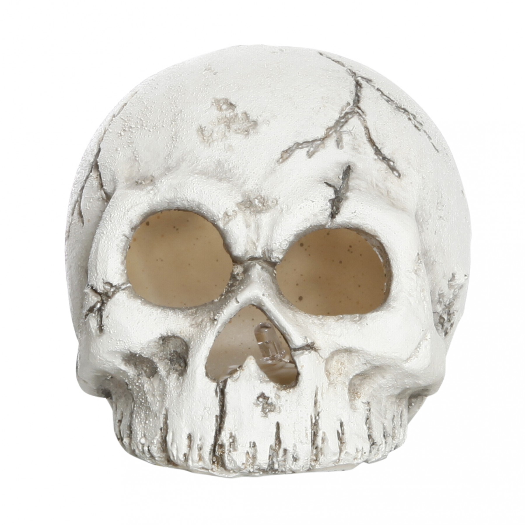 DGA - Skull with LED (10595195) DGA - Skull with LED (10595195)