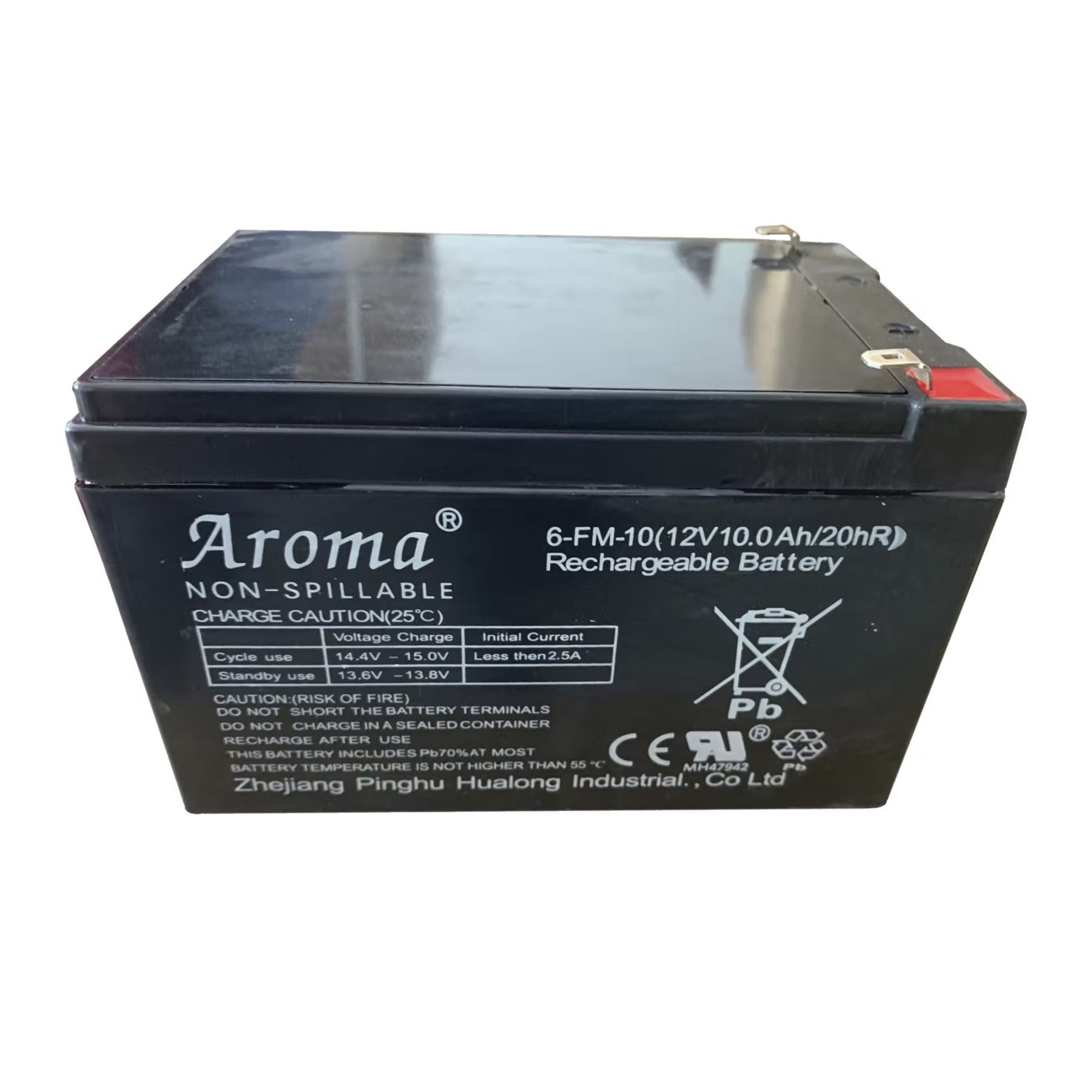 Battery for Electric Cars - 12V/10A (69502114)