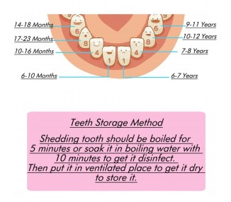 Caja de madera para guardar los dientes de los bebés, organizador, para ninas