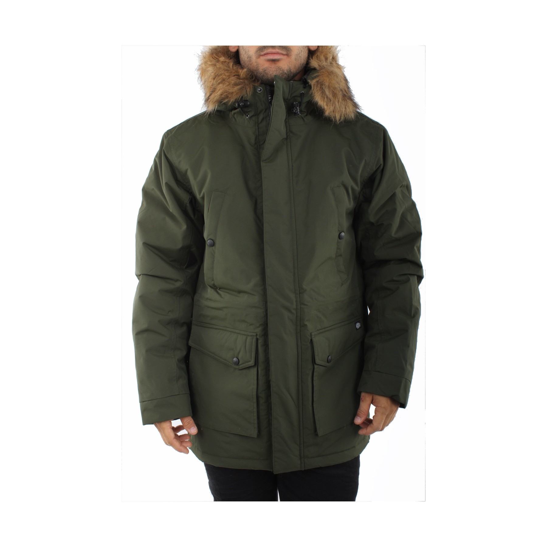 Dickies Jacket 'Curtis 07200175'