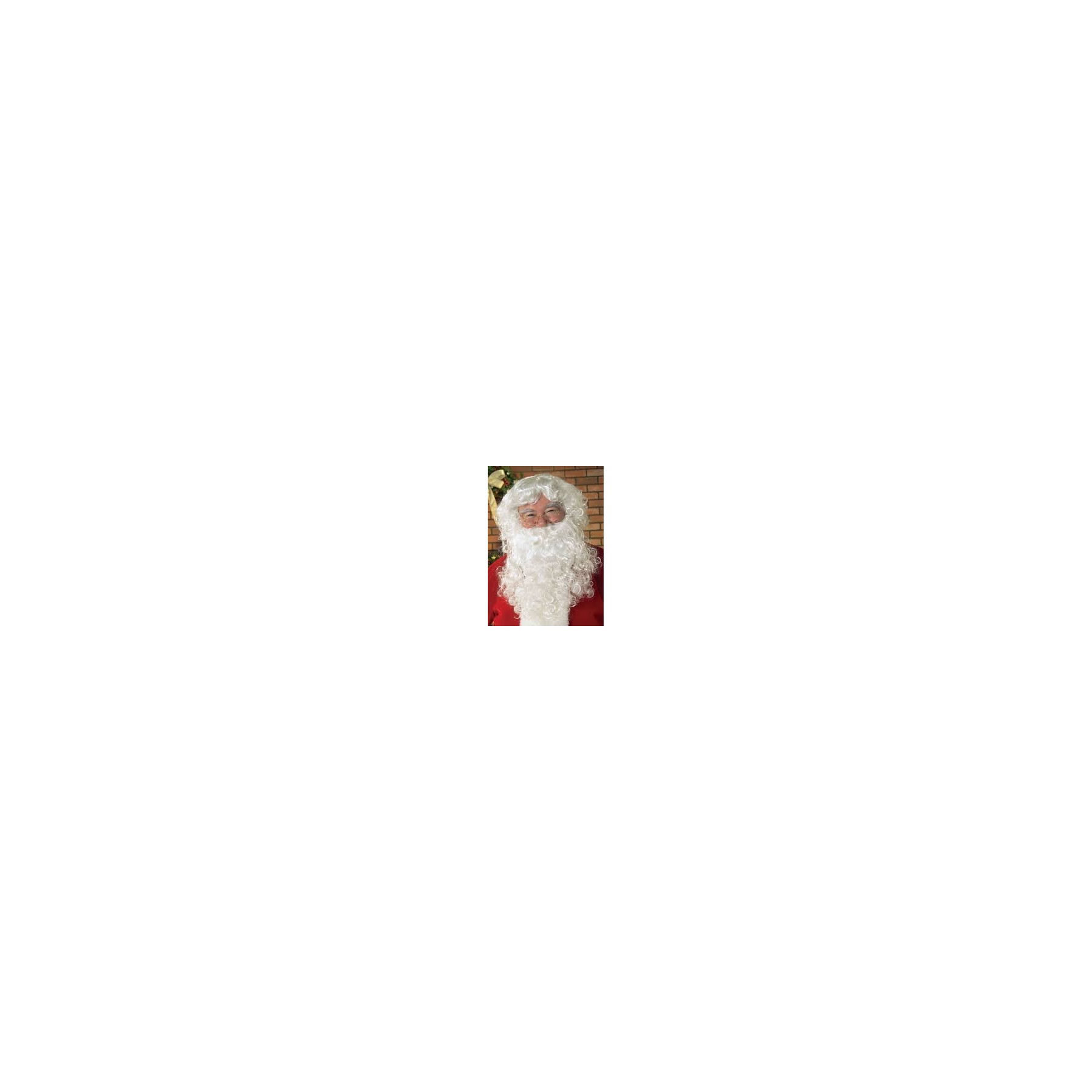 Rubies Adult - Santa Beard and Wig set (2269)