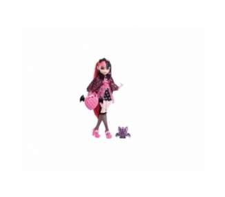 Monster High - Doll with Pet - Draculaura (HHK51)