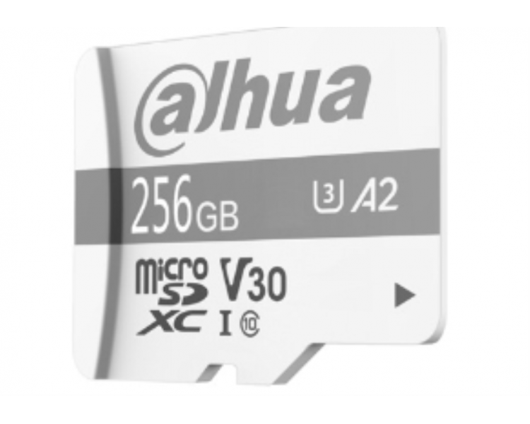 MICRO SD DAHUA P100 256GB SURVEILLANCE