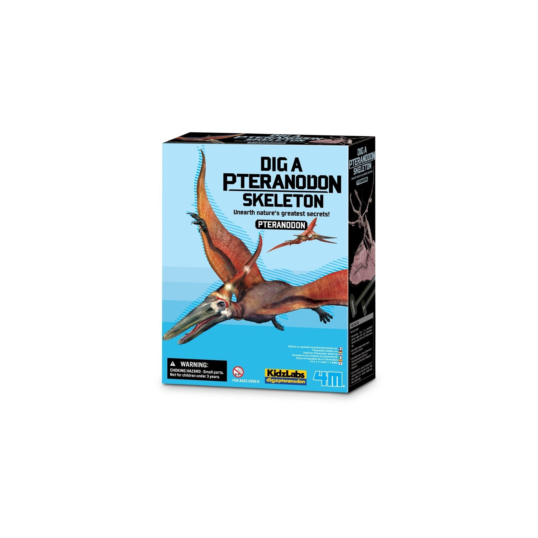 4M - KidzLabs / Dig a Pteranodon skeleon - (4M-03459)