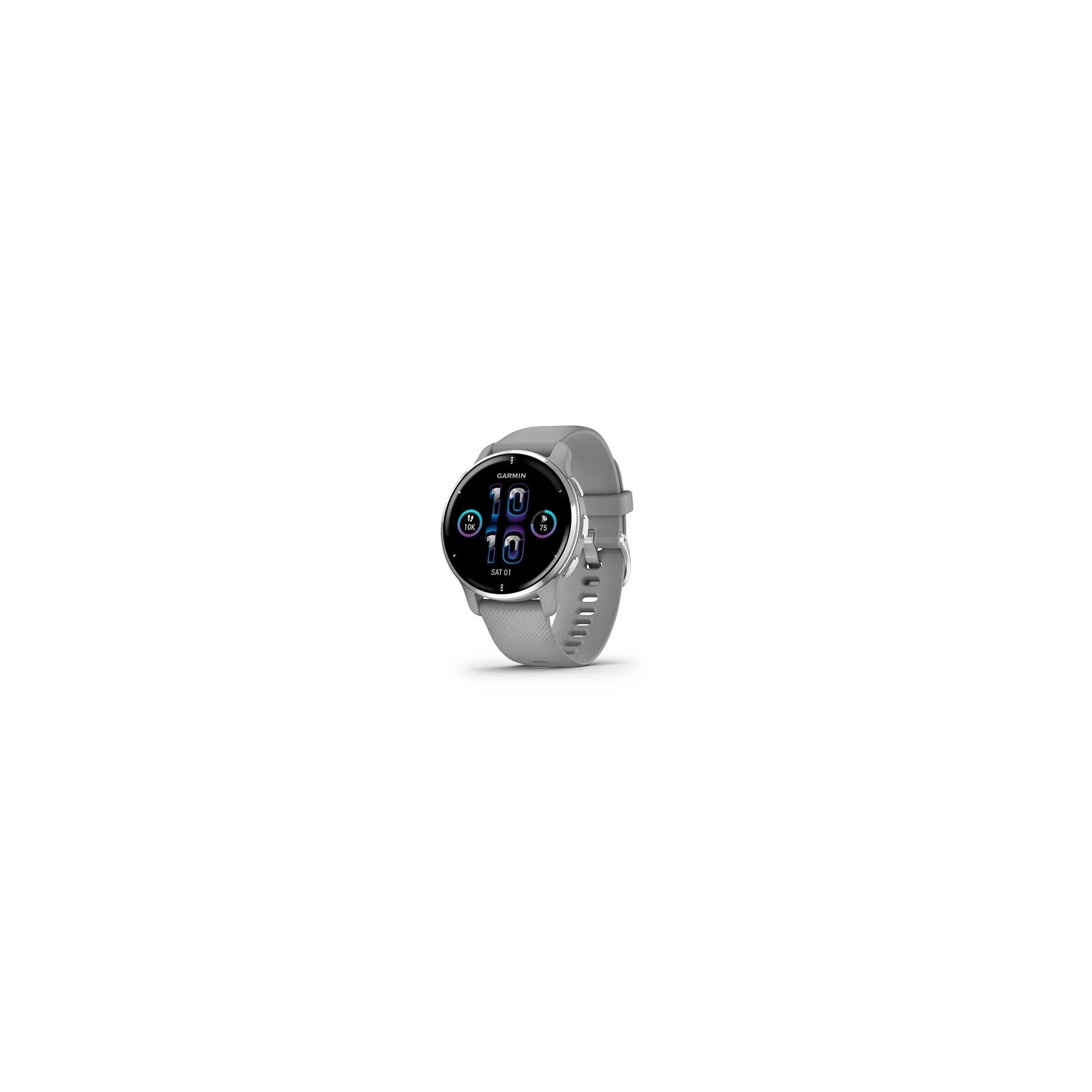 SMARTWATCH GARMIN VENU 2 PLUS GRAY