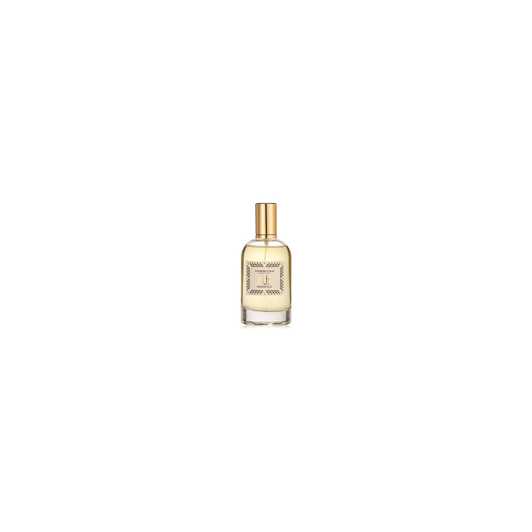 Enrico Gi Perfume 100ml Enrico Gi Perfume 100ml