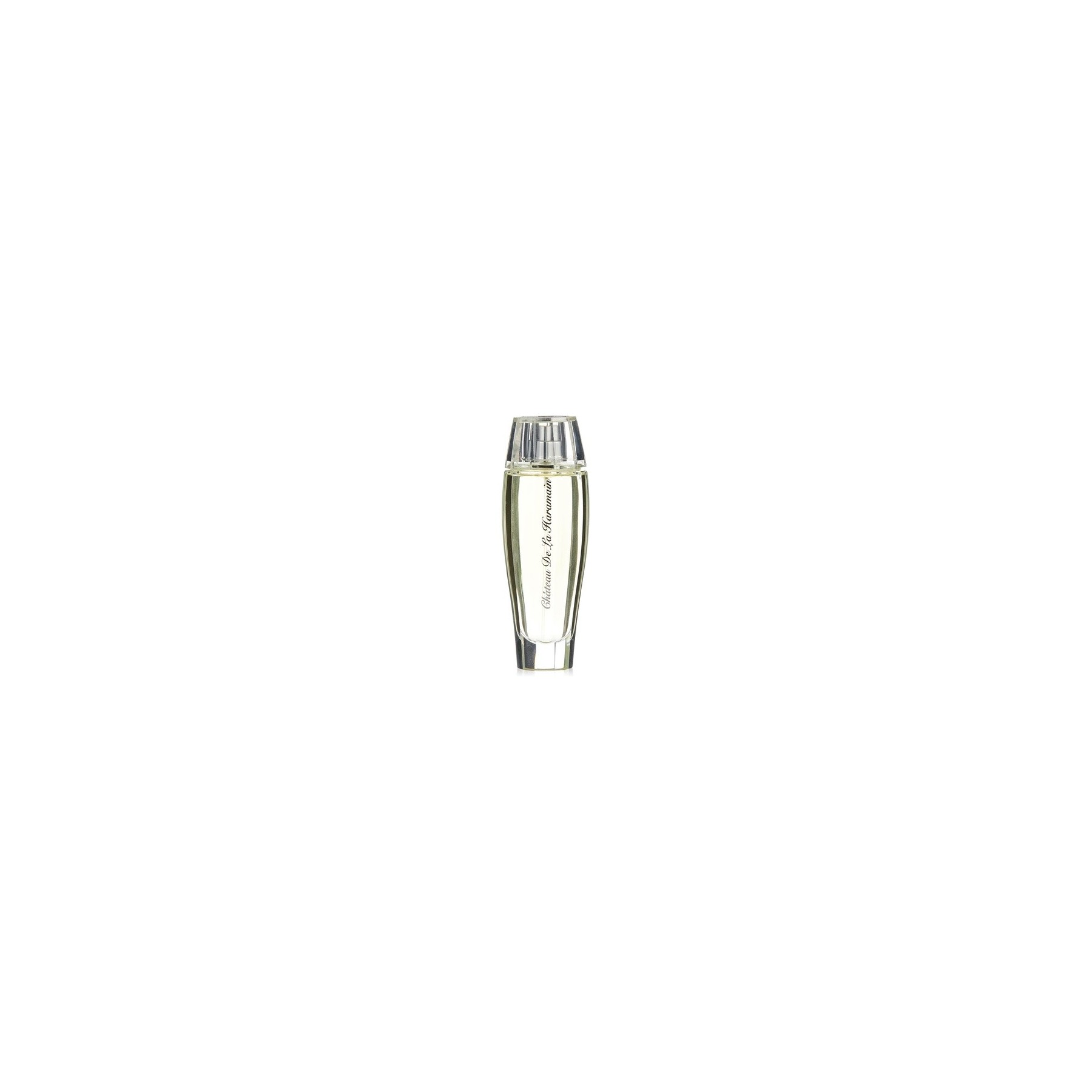 Al Haramain 100ml Eau De Parfum Spray Argent Chateau De La