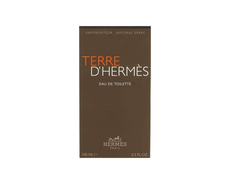 Terre D'Hermes by Hermes Eau De Toilette For Men 100ml