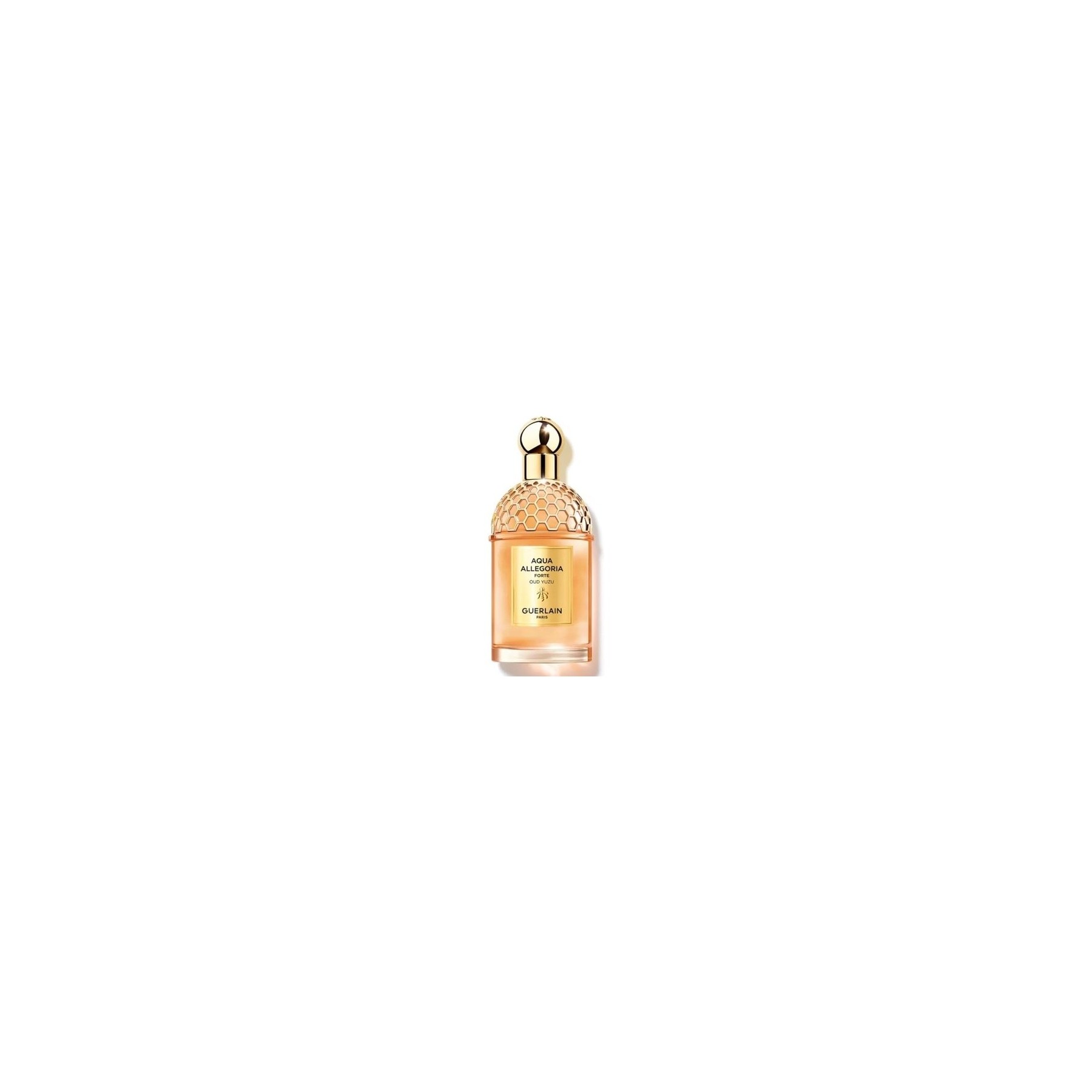 Guerlain Aqua Allegoria Forte Oud Yuzu EDP 75ml