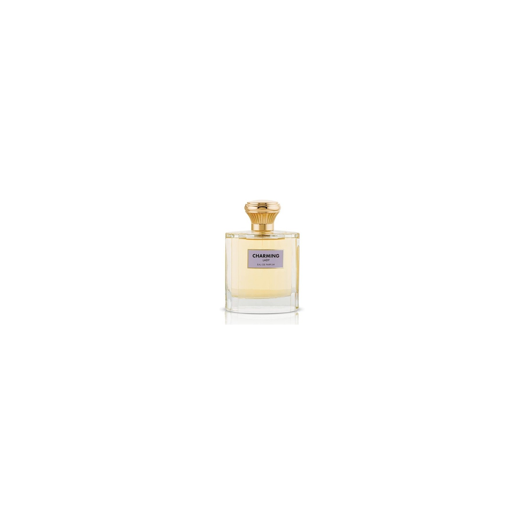 Flavia Charming Lady Eau de Parfum 100ml