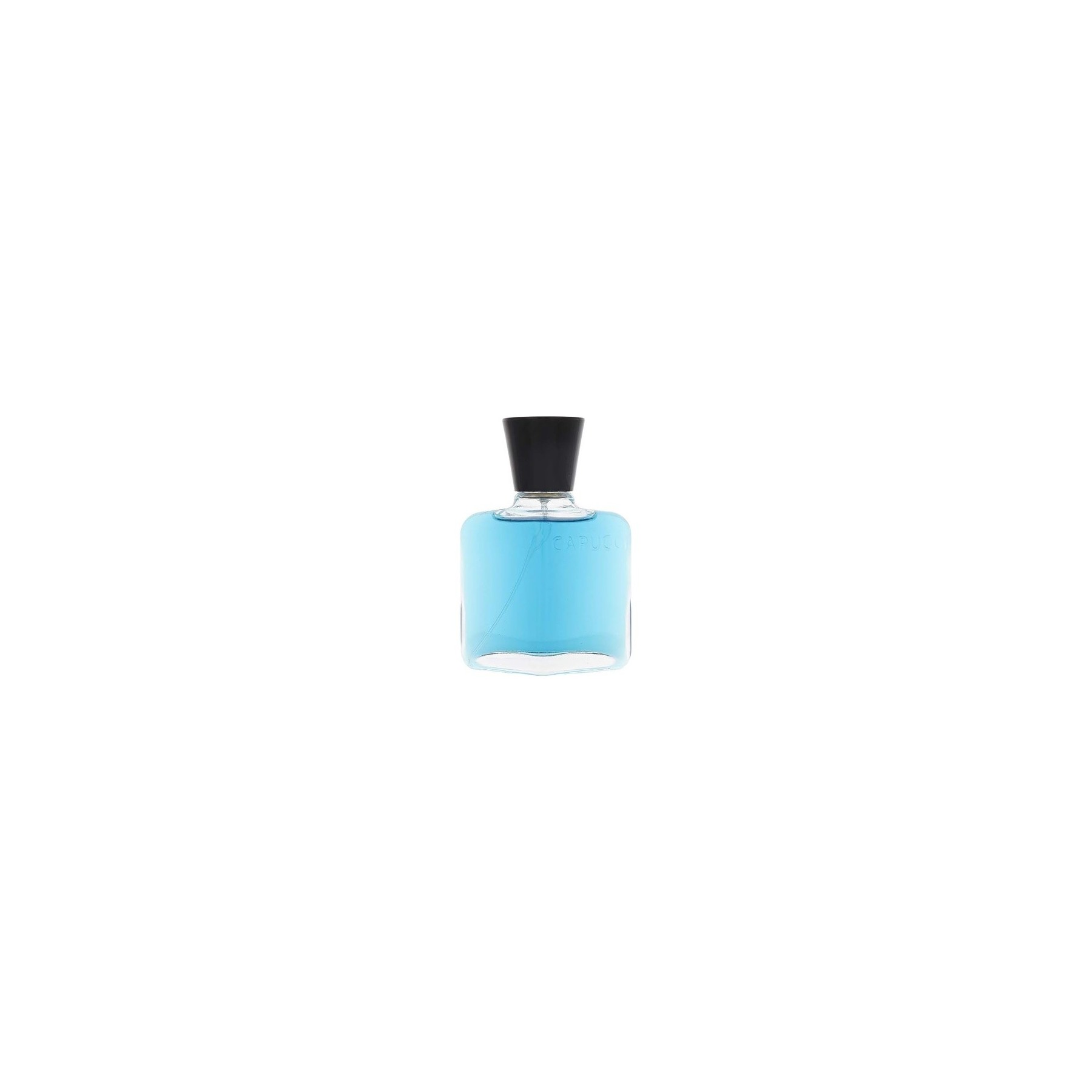 Capucci Blu Water Eau De Parfum 100ml
