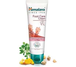 Himalaya Herbals Foot Care Cream 75g for Dry and Cracked Heels with Skin Moisturizer