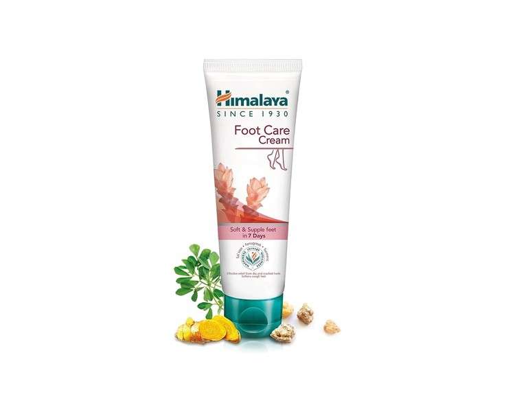 Himalaya Herbals Foot Care Cream 75g for Dry and Cracked Heels with Skin Moisturizer