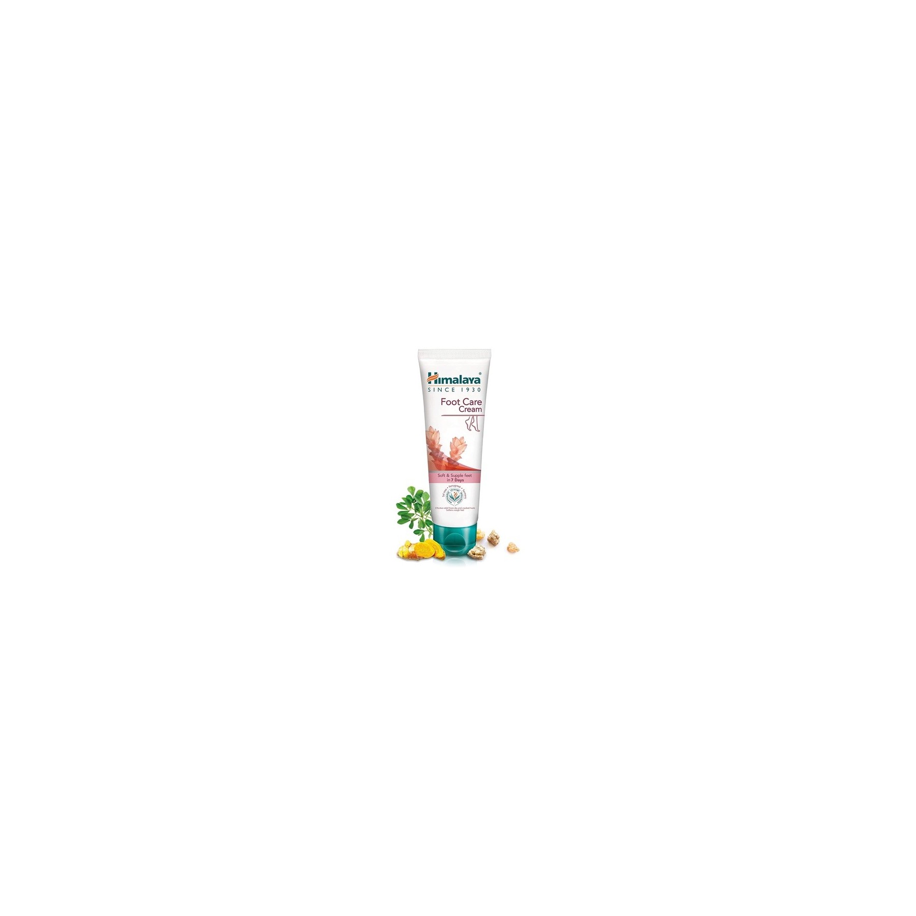 Himalaya Herbals Foot Care Cream 75g for Dry and Cracked Heels with Skin Moisturizer
