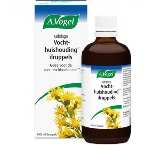 A.Vogel Solidago Drops - Contains Solidago And Betula: Good For Kidney And Bladder Function* - 100 Ml