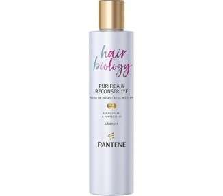 Pantene Pro-V Hair Biology Purifies & Rebuilds Shampoo 250ml