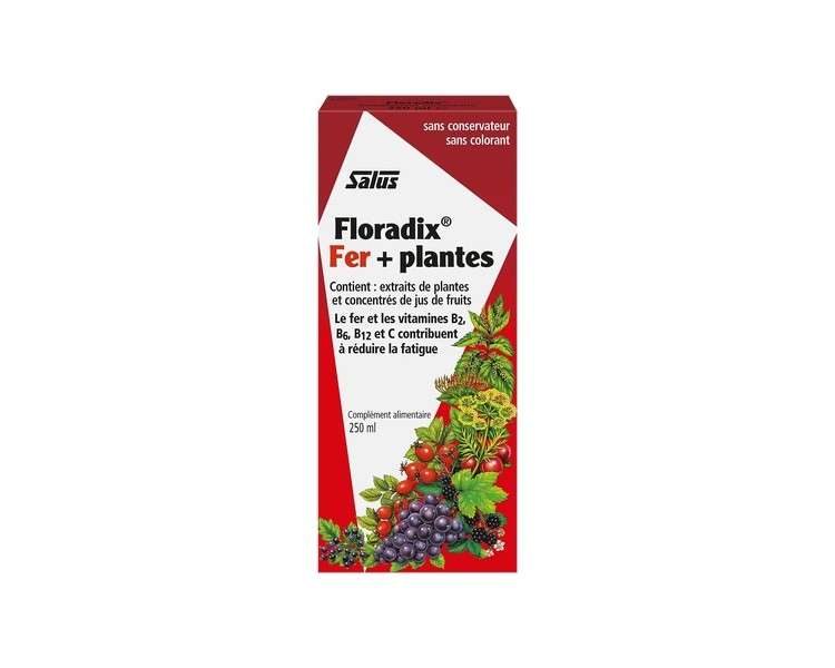Floradix Liquid Iron and Vitamin Formula 250ml 8.5 Fl Oz