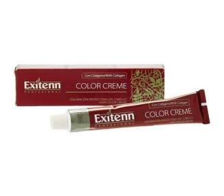 Exitenn Hair Colour Permanent Colour 60ml