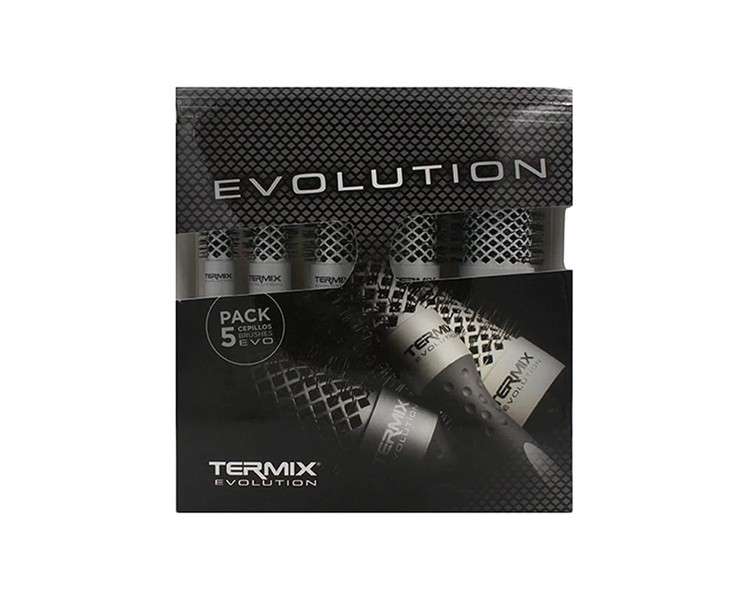 Termix Evolution Basic Hairbrushes for Normal Hair with Ionized Bristles