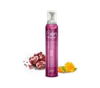 Vitality's Art CM Red Color Mousse 200ml