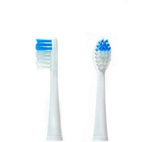 CAMRY CR 2158.1 Toothbrush Set Multicolor One Size