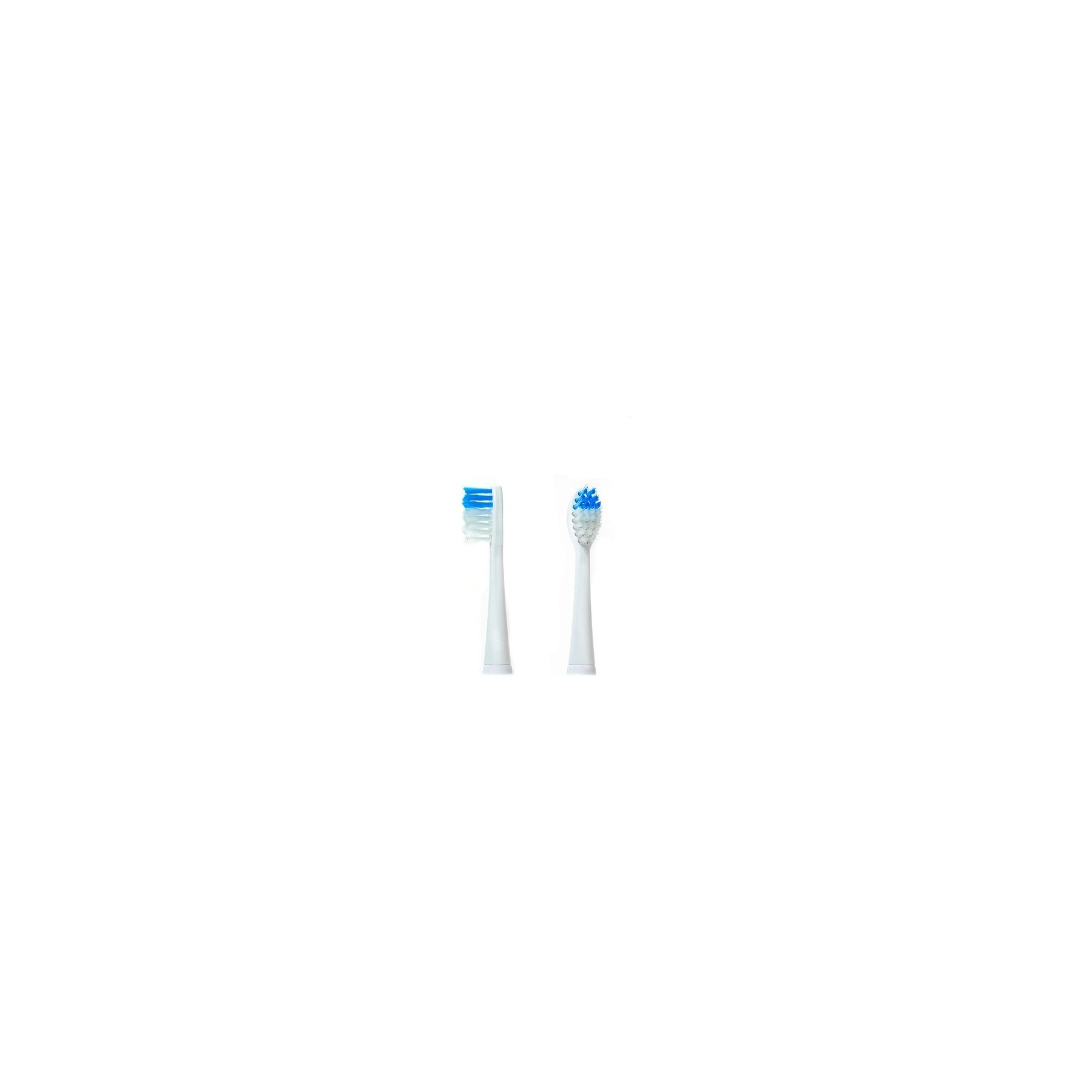 CAMRY CR 2158.1 Toothbrush Set Multicolor One Size