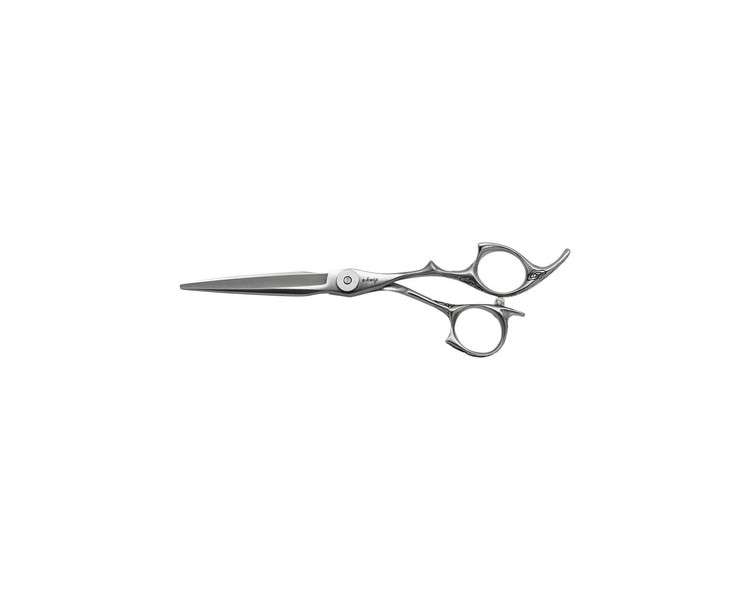 E-kwip Hero Ergonomic Design Hair Scissors 6.0-Inch