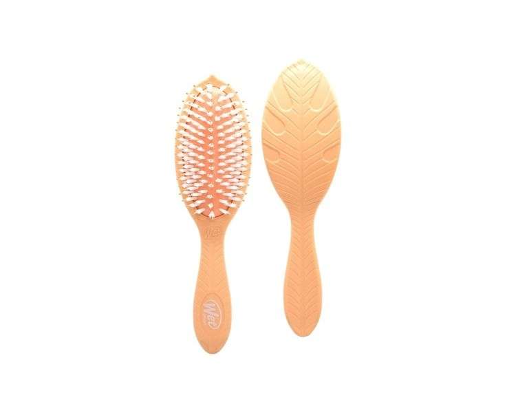 Wet Brush Go Green Treatment and Shine Brush with Coconut Oil for Unisex Coral
