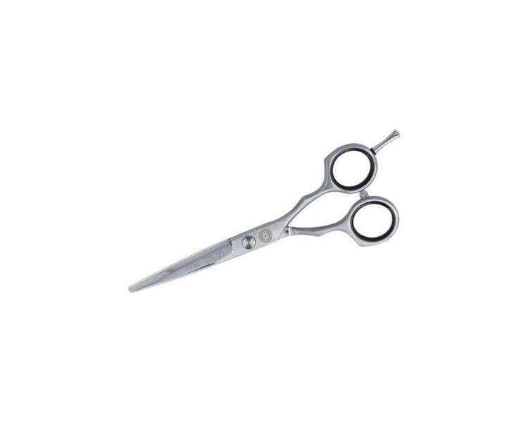 Eurostil 5.5 Hair Scissors