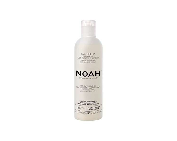 NOAH 2.6 Anti-Yellow Hair Mask With Blueberry Extract 250ml - Made in Italy - Cruelty Free No SLS or Parabens - Nickel Tested
