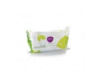 Refreshing Cleansing Wipes 15 Wipes