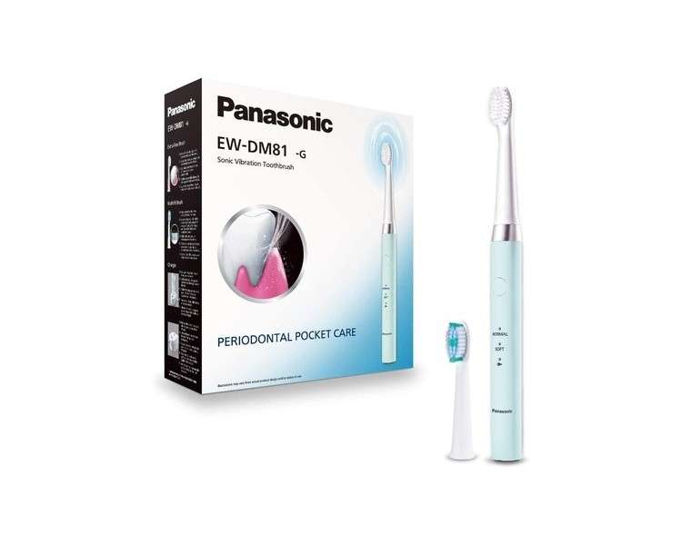 Panasonic EW-DM81-G503 Electric Toothbrush