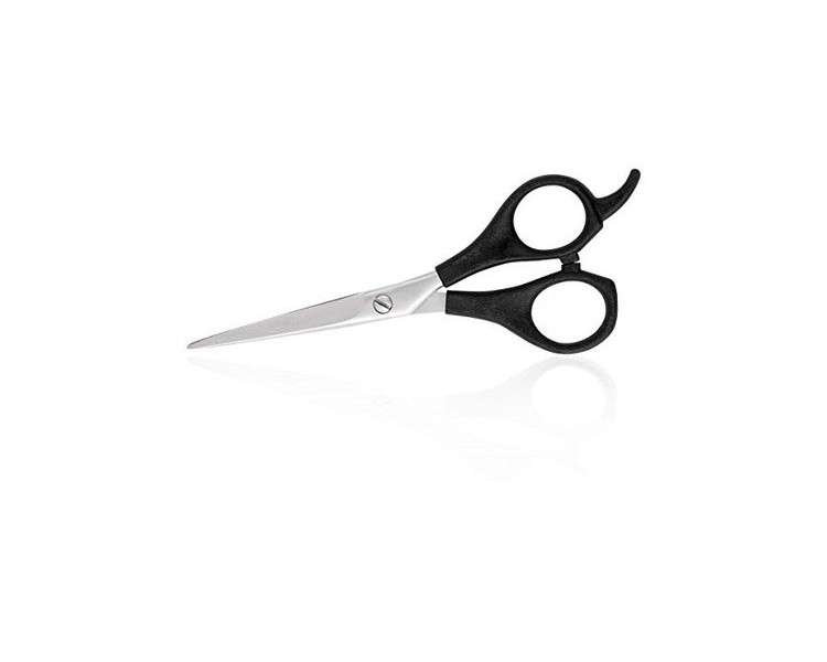 Friseurschule 6 inch Cutting Scissors