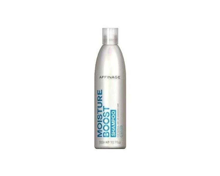 Care & Style by Affinage Moisture Boost Shampoo 300ml
