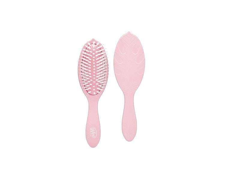 Wet Brush Go Green Oil Infused Shine Brush with Watermelon Seed Oil for Unisex 1 Piece Hair Brush