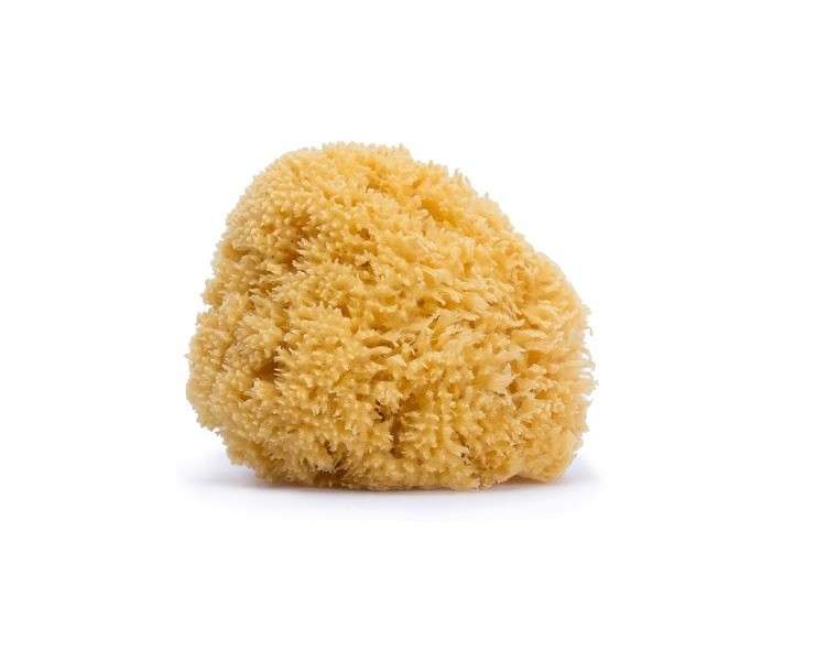 Suavi Natural Large Sponge