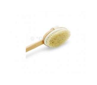 Top Choice Wooden Body Brush Massager 17 Inches