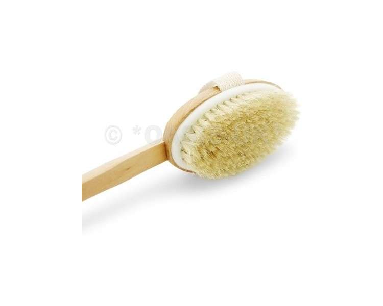Top Choice Wooden Body Brush Massager 17 Inches