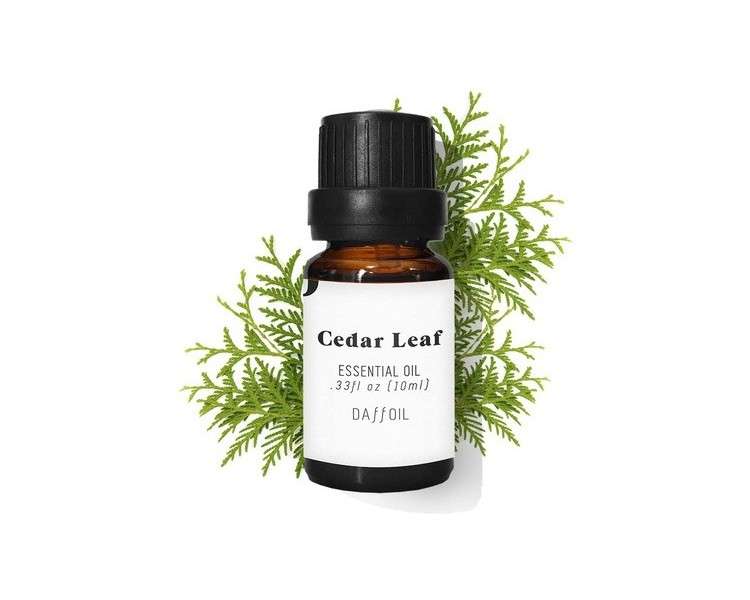 Cedar Leaf, Essential Oil, 10 Ml, Pure Bio, 100% Natural