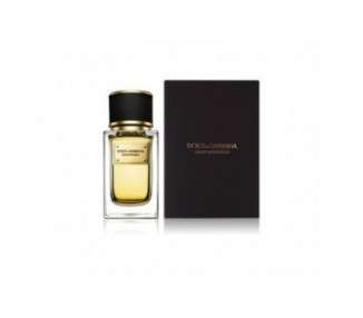 Dolce & Gabbana Women's Velvet Black Patchouli Eau De Parfum 1.6 Oz.