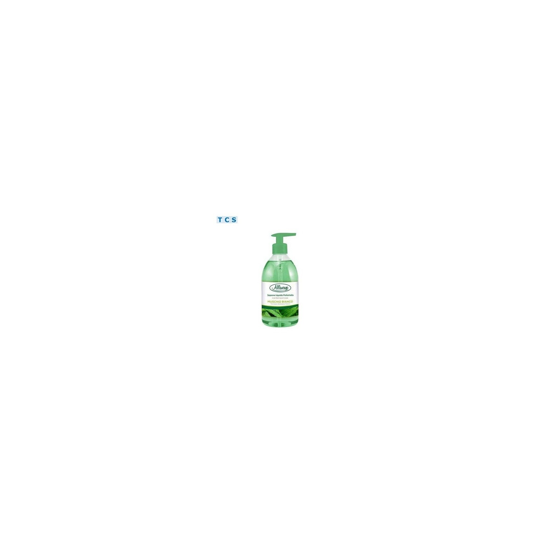 ALLWAYS White Moss Liquid Soap with Dispenser 1L